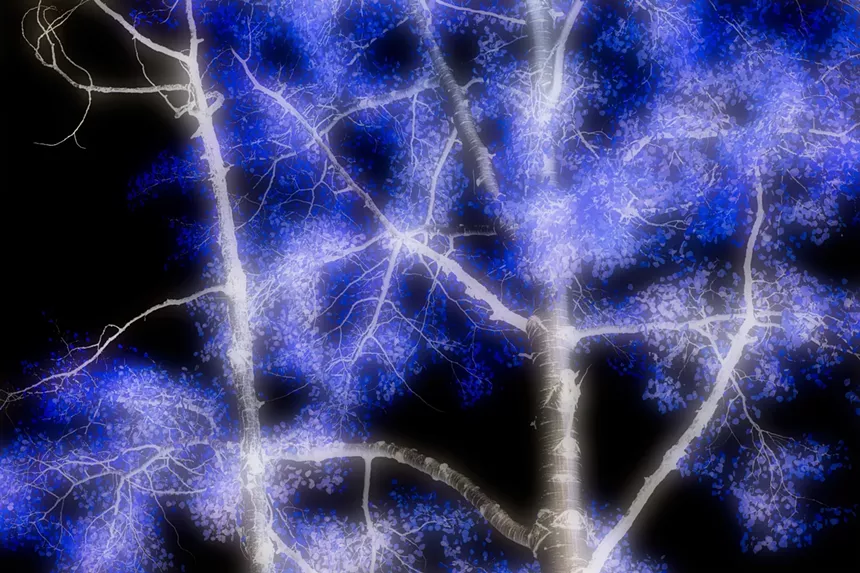 One of 555 unique images from Richard Alden Peterson's A Darker Nature series. -RICHARD PETERSON
