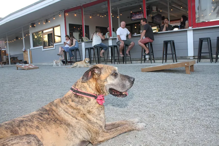 COURTESY OF ROMERO'S K9 CLUB & TAP HOUSE FACEBOOK PAGE