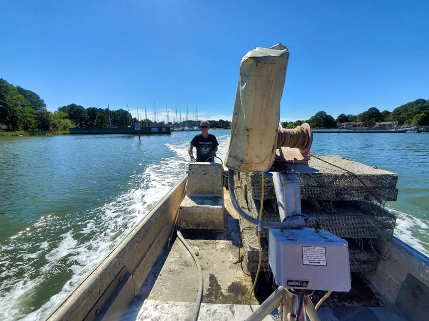 man driving a boat