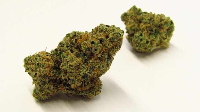 Marshmallow OG cannabis strain