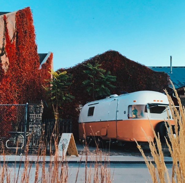 An orange and white camper parked outside of a building covered with a lot of greenery and vines.