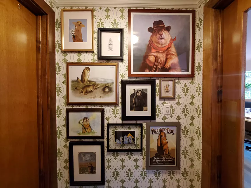 a wall covered in framed photos of prairie dogs