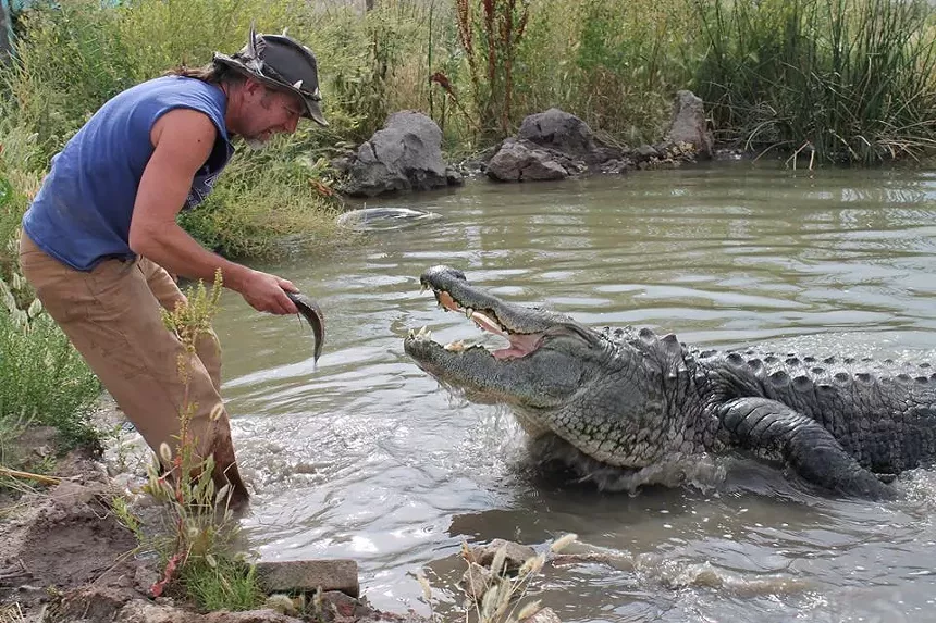 man with alligator and fish