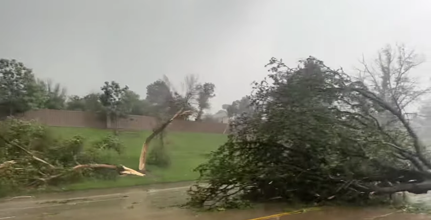 Tree damage caused by the tornado that touched down in Highlands Ranch, Colorado on Thursday, June 22.