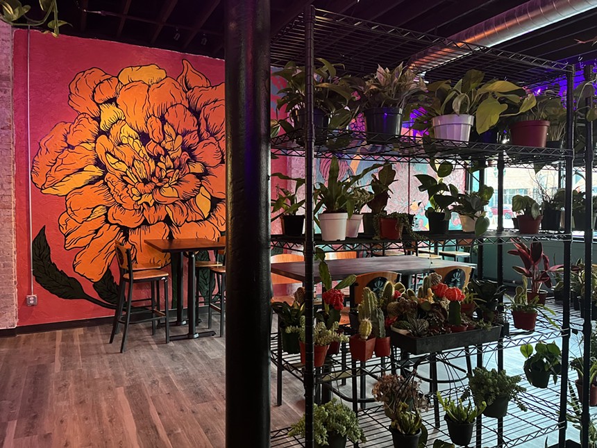 plants on shelves in front of a bright colored mural in a room