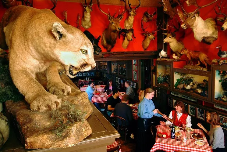 a wall covered in taxidermy animals inside a restaurant