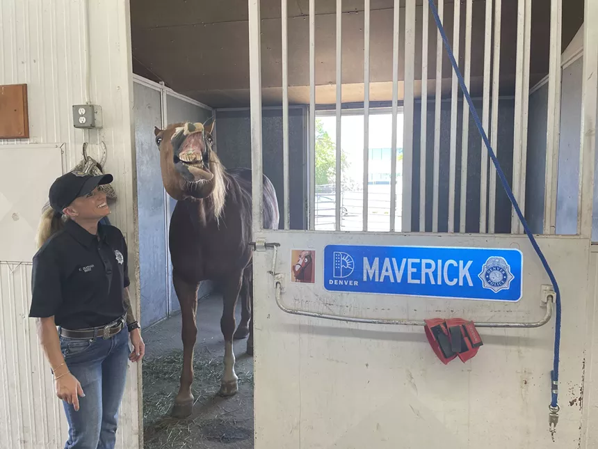 A tan horse with his lips pulled back as a blonde woman looks on grinning.