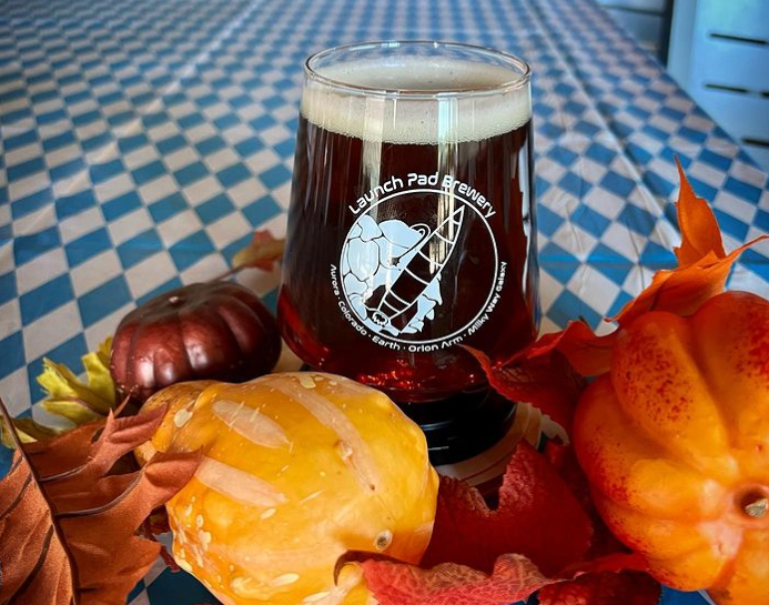 a beer in a glass surrounded by small pumpkins and leaves