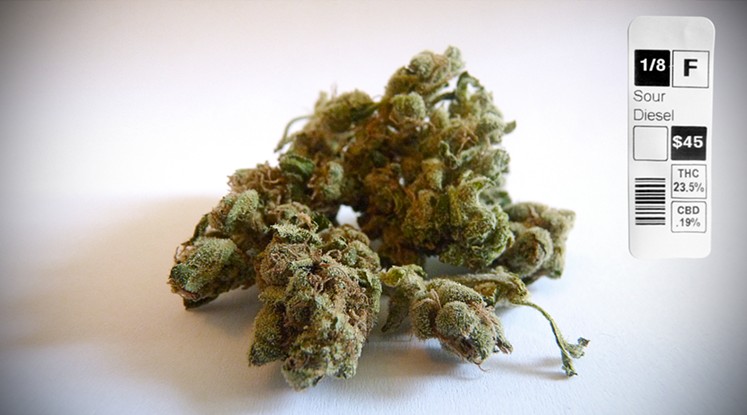 Green bud of Sour Diesel cannabis