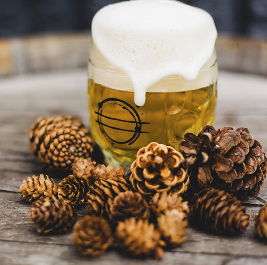 Tree cones and beer.
