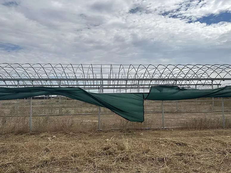 Abandoned hoop house in desert
