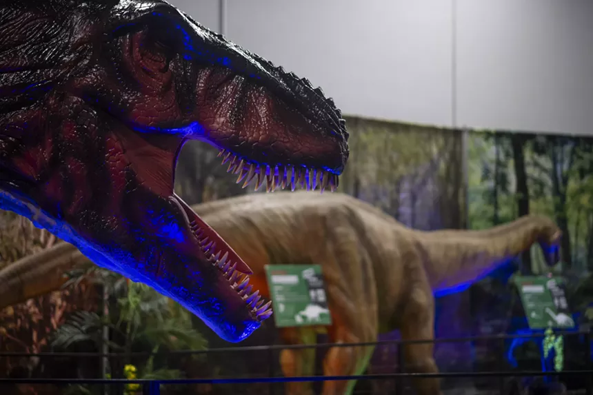 T-Rex model