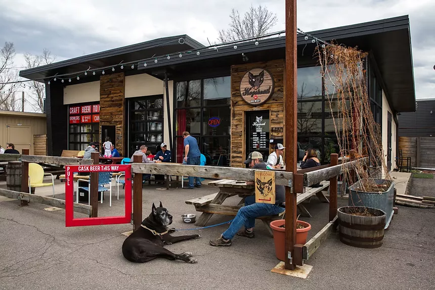 dog in front of a patio