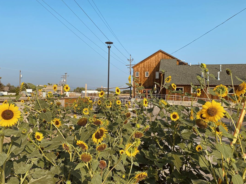 Brewery with wildflowers in the foreground.