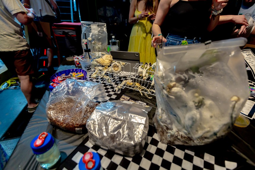 mushroom grow bags on display at Denver Shroom Fest