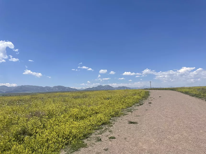 Open trail in front of rocky mountains