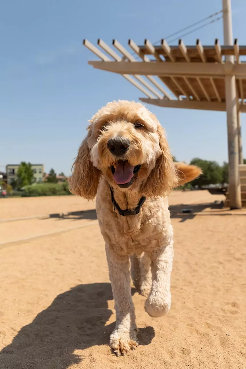 Greenway Dog Park