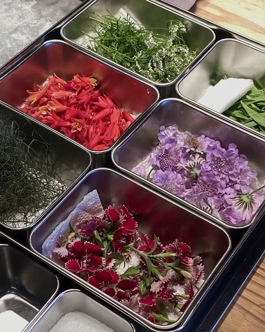 various flowers and ingredients in containers