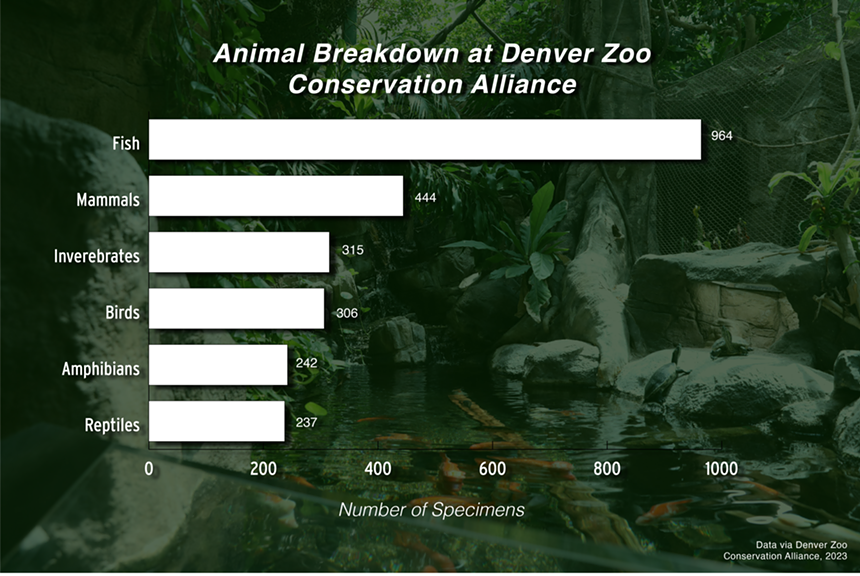 DZCA Animal Breakdown