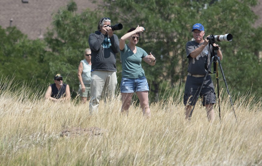 Photographers in prairie gras