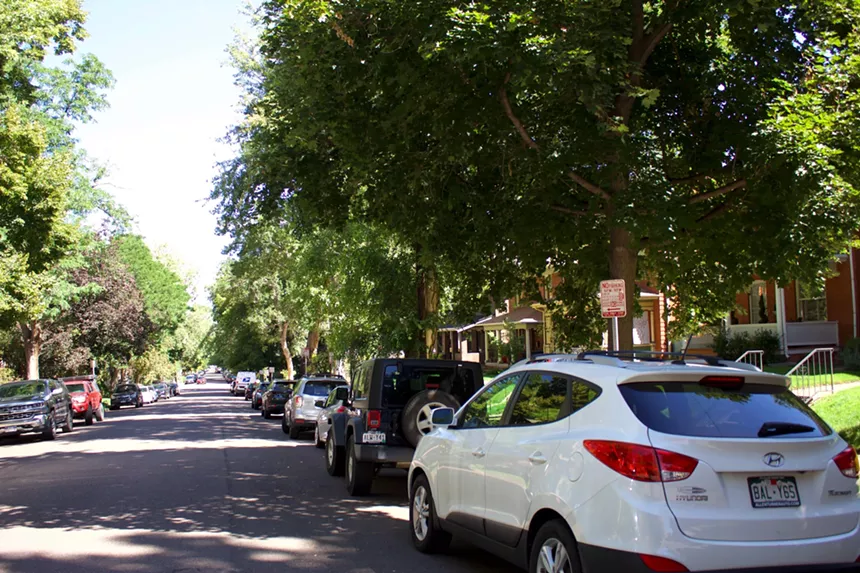 Cars parked on the side of street lined with trees