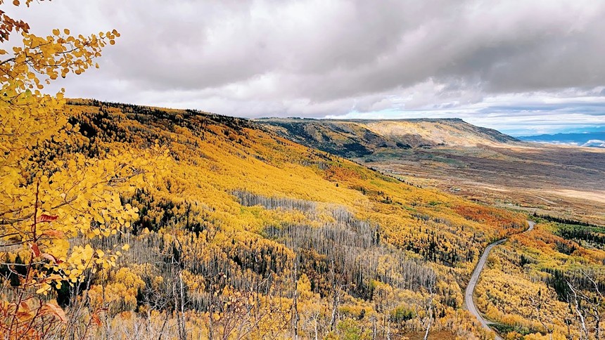 Grand Mesa Scenic Byway in the fall