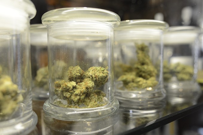 Jars of marijuana on display at dispensary