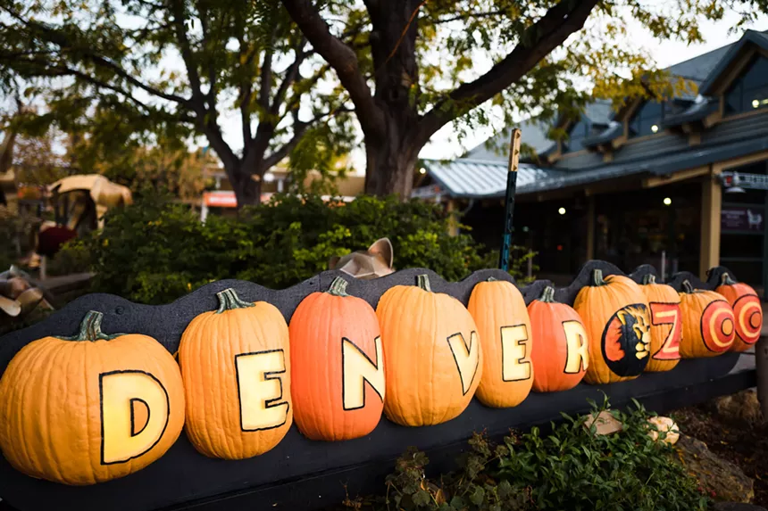 pumpkins carved to say zoo