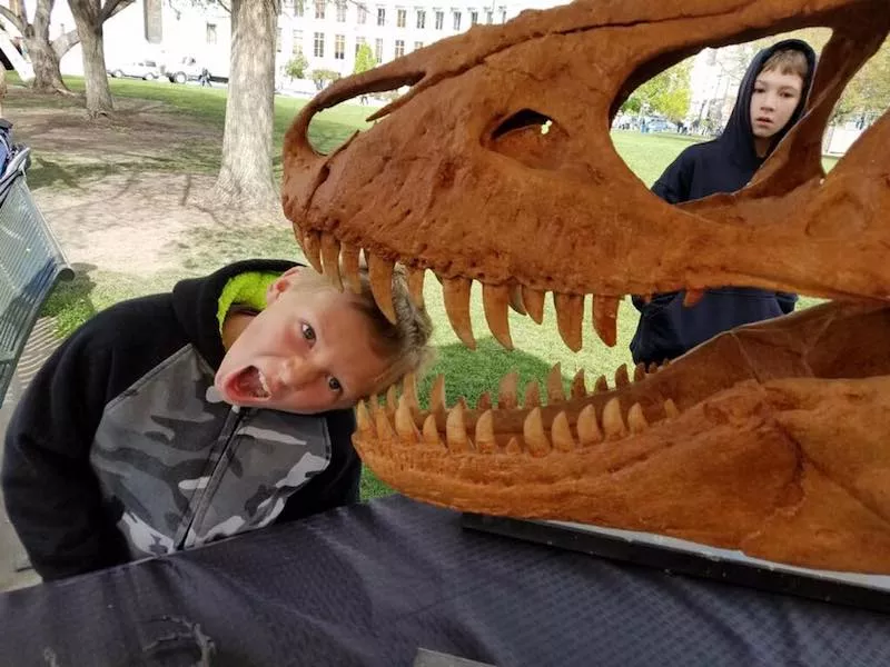 kid with his head in a dinosaur skeleton mouth