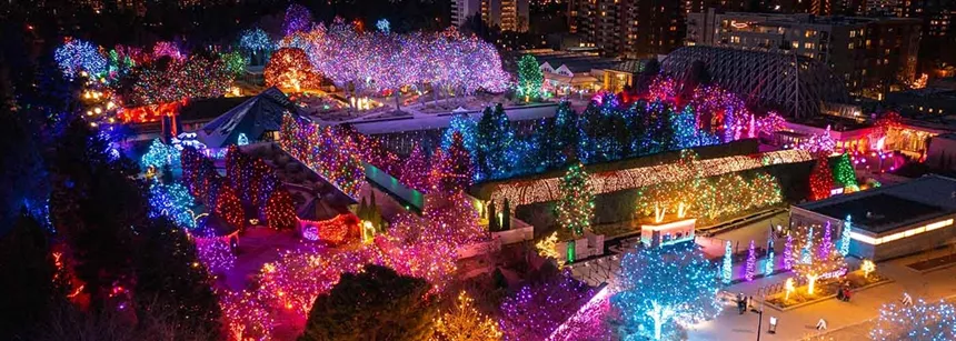 lights in botanic gardens