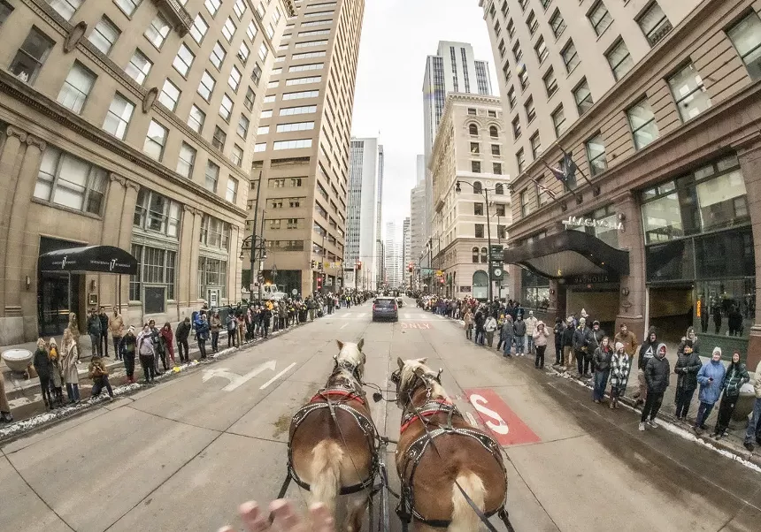 horses pull float in parade