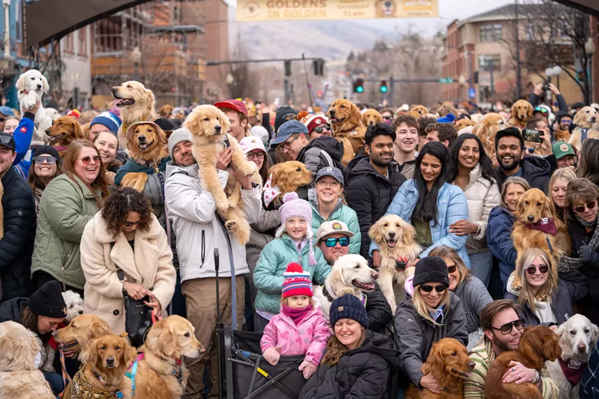 dogs and their owners