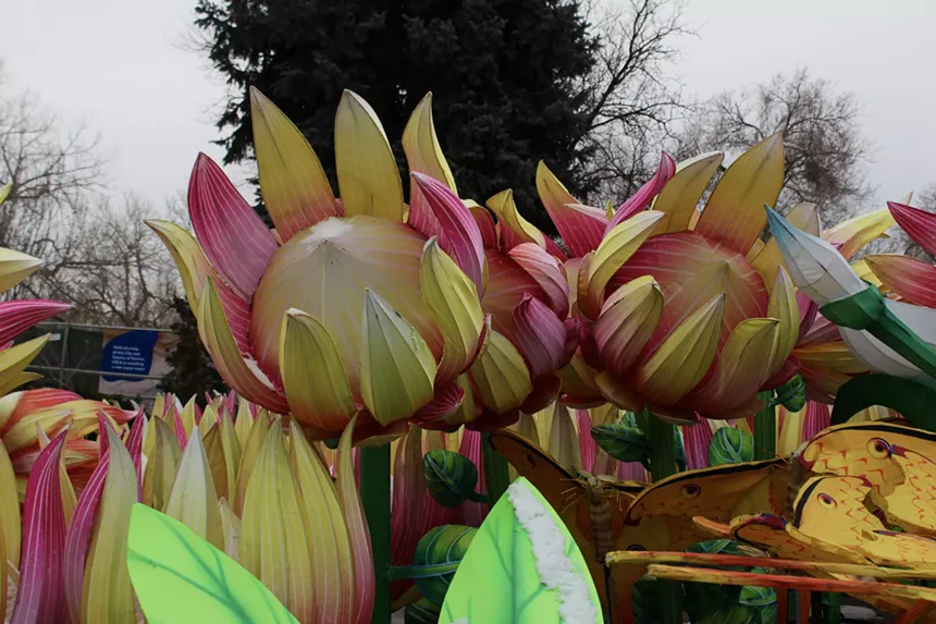 Colorful lantern flowers