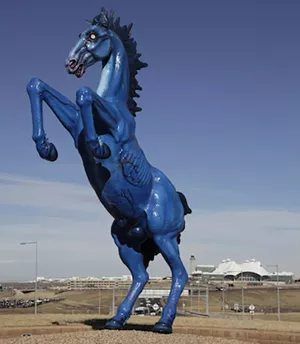 horse rising uyp