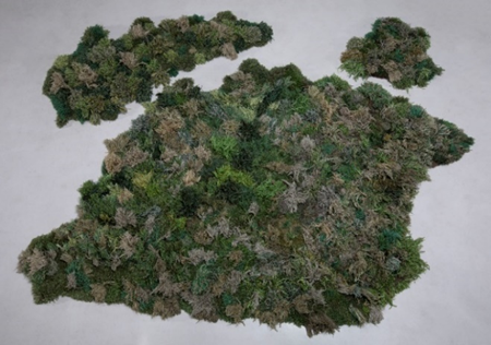 A green moss sculpture