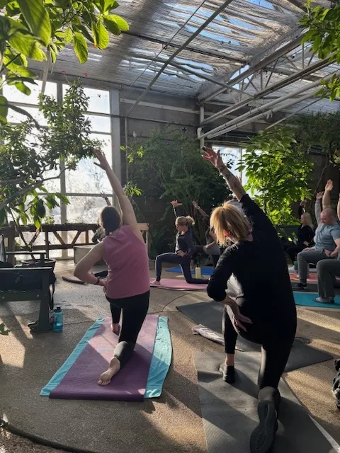 People doing yoga