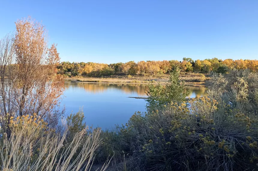 Bass Lake surrounded by trees and plants featuring autumn colors