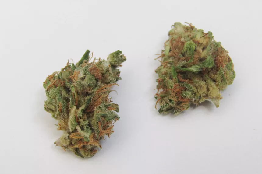 Desert Ruby CBD weed strain