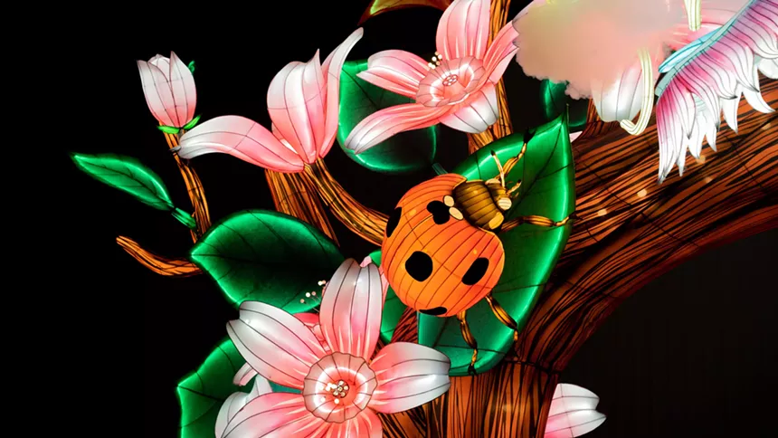 A ladybug lantern