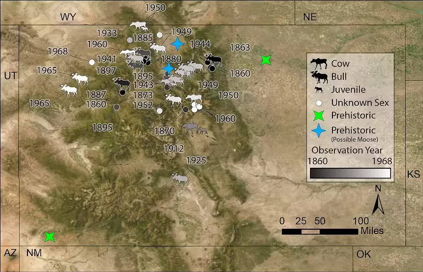 map of moose sightings
