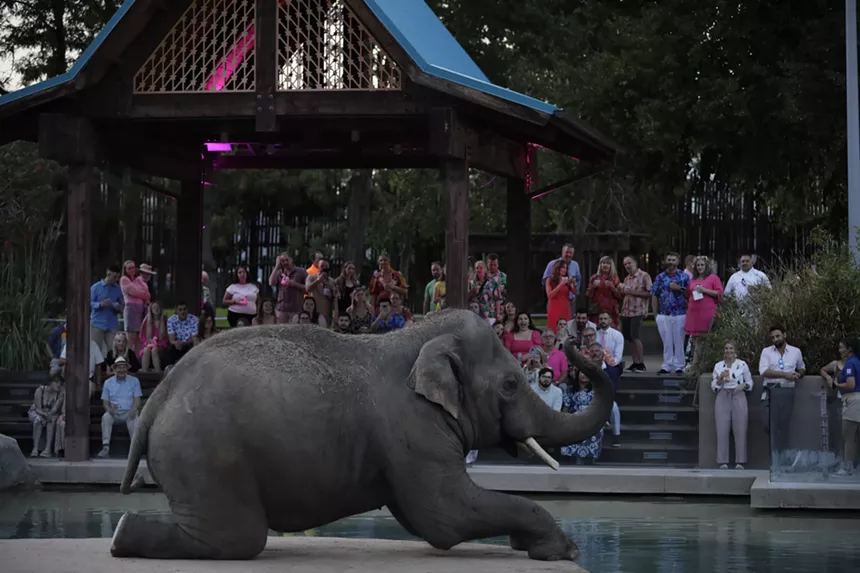 An elephant and a crowd of people