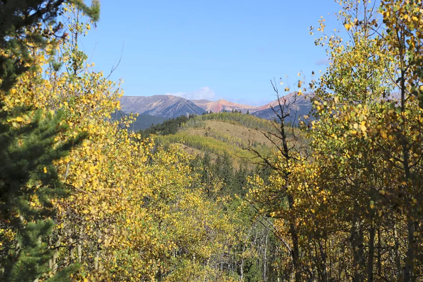 Yellow aspens and mountains seen from Colorado Trail segment five near Kenosha Pass