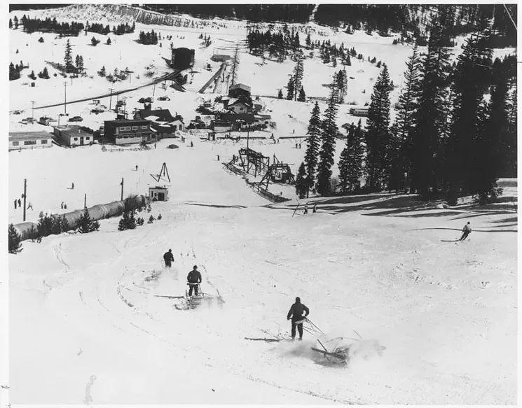 Ski patrollers grooming the Bridge Trail with Bradley Packers in the early 1950s. - GRAND COUNTY HISTORICAL ASSOCIATION