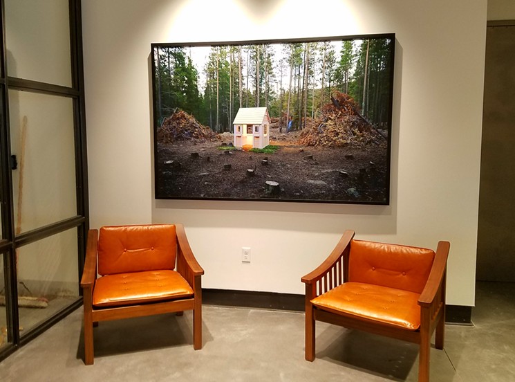 Christine Buchsbaum's "Conceiving a Forest Floor" in the Maven's lobby. - LINNEA COVINGTON