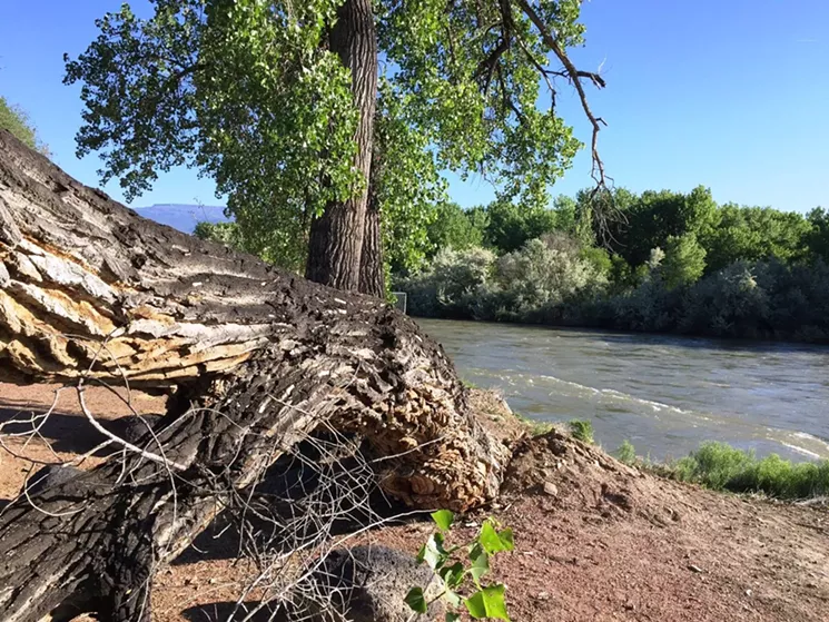 One of the photos in Tony Bohling's high-water post shared by Bryan Reim the day before he drowned. - FACEBOOK