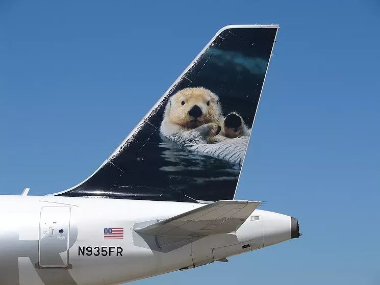Hector the Sea Otter — currently between jobs. - CORY W. WATTS AT FLICKR