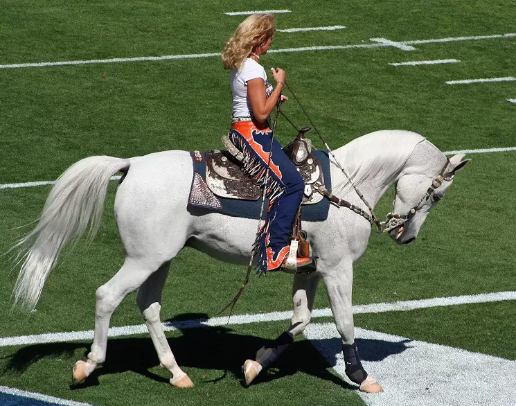 Thunder is the horse, by the way. - JEFFREY BEALL AT FLICKR
