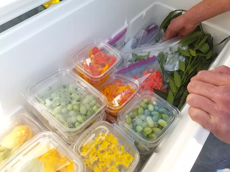 Kayser says he drools over the chef's cooler at ACRES at Warren Tech's stand every week. It's where he scored delicate borage flowers, micro sorrel and cucamelons, a tiny fruit that tastes like a tart cucumber. - LINNEA COVINGTON