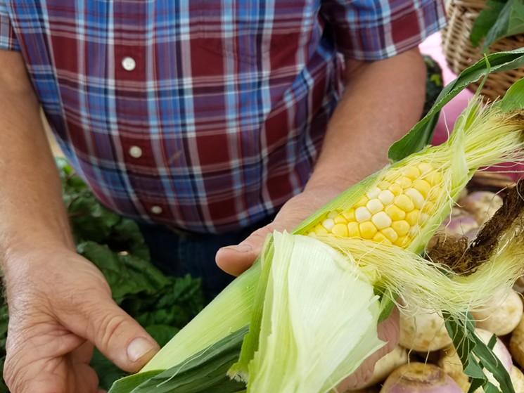 Full Circle Organic Farms in Longmont picks its sweet corn in the morning before bringing it to the market. It's so good, you can eat it raw right off the cob. Best part, it's only $1.50 for three ears. - LINNEA COVINGTON