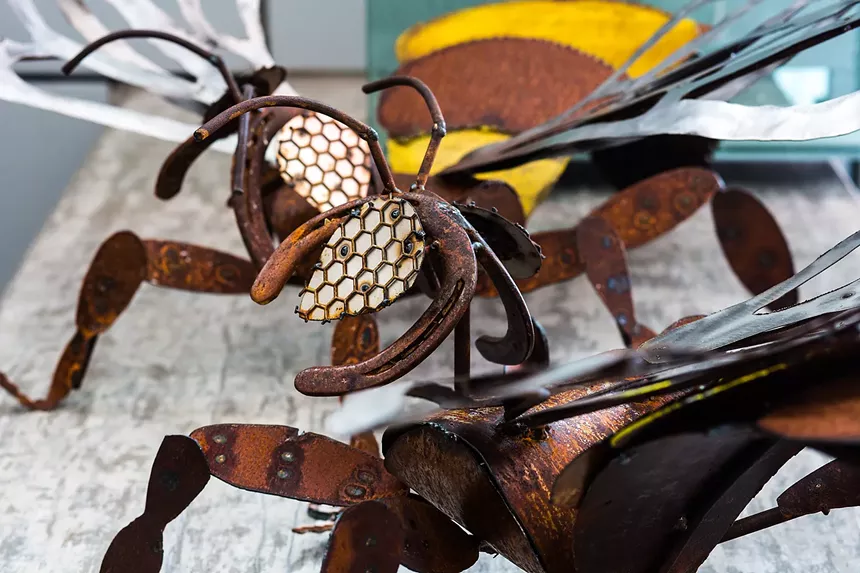 These bees are from Tupelo, honey. Find the real thing at the Colorado Honey Festival. - DANIELLE LIRETTE